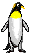 penguin_ani